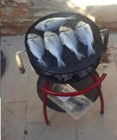 Prices Nini With Refreshing Private Pool, Barbecue,bikes And Much *
